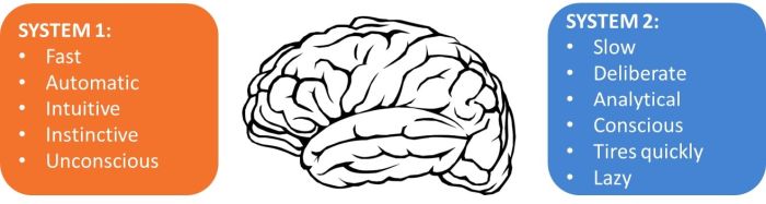 Biais cognitif: Système 1, Système 2 : Neuroprofiler